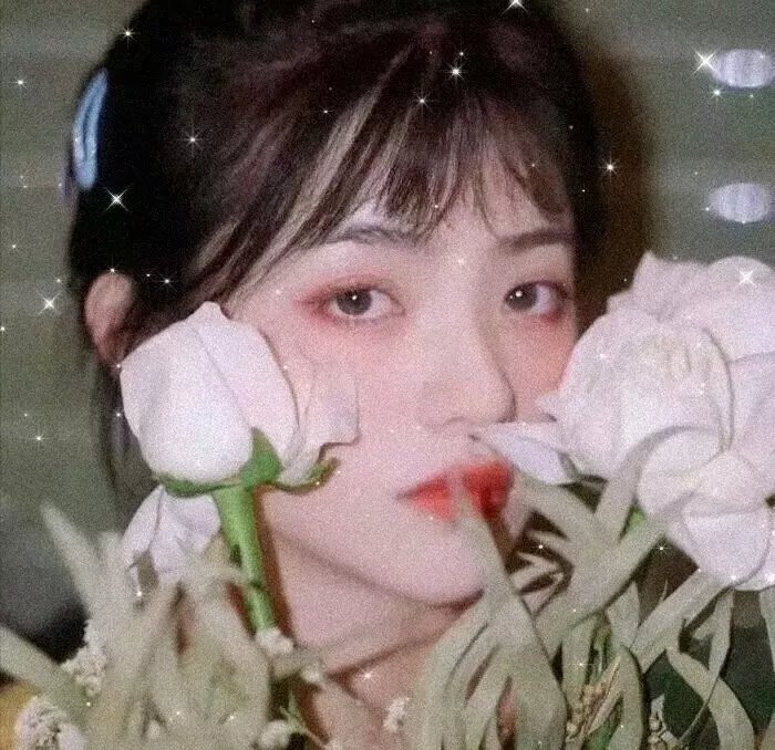 胡萝卜小姐